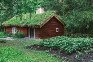 Cabin Porn